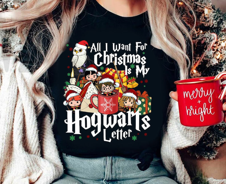 HP Wizard School Christmas T-shirt